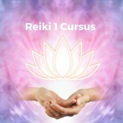 Reiki 1 Thuisstudie (W)