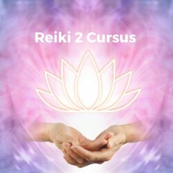 Reiki 2 Thuisstudie