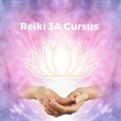 Reiki 3A Mastergraad Thuisstudie (2 termijnen)